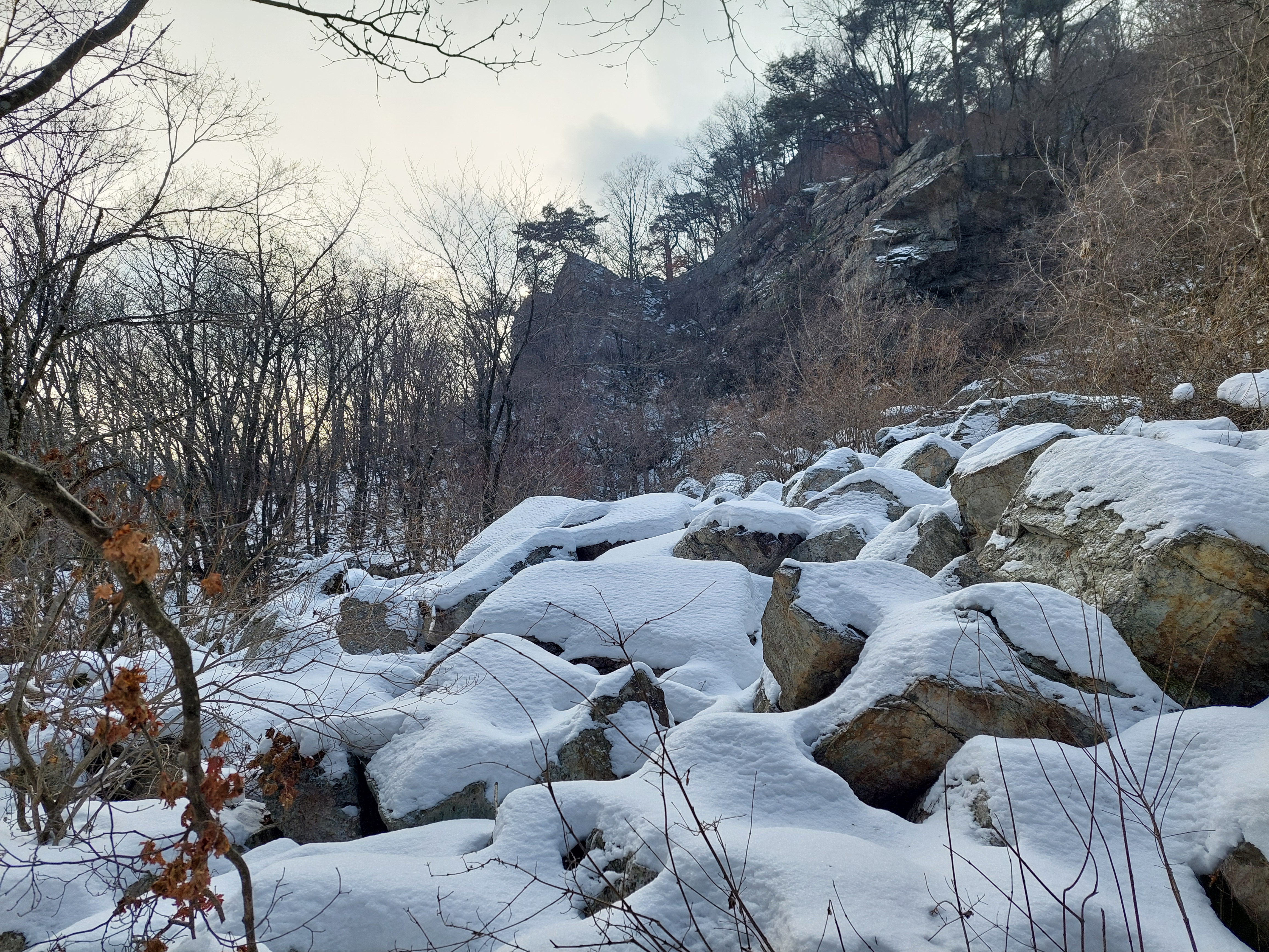유명산