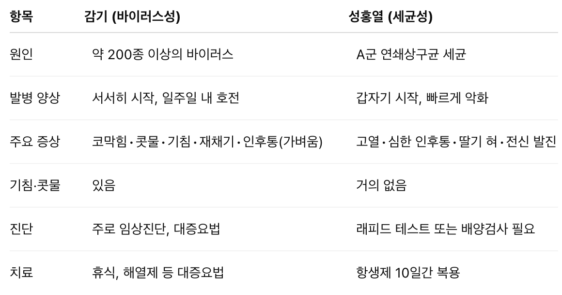 성홍열 증상 감기와 다른 점은? 격리기간과 전염성 지금 바로 확인하세요