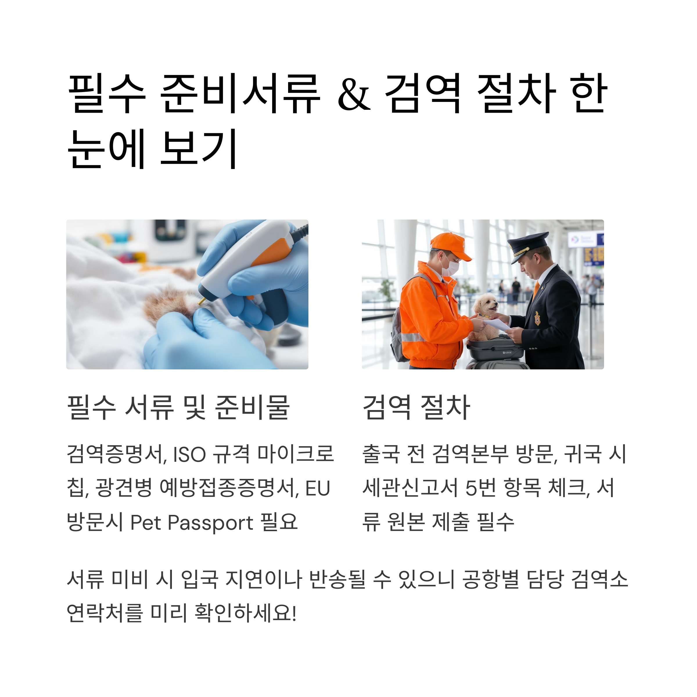 필수 준비서류 &amp; 검역 절차 한 눈에 보기