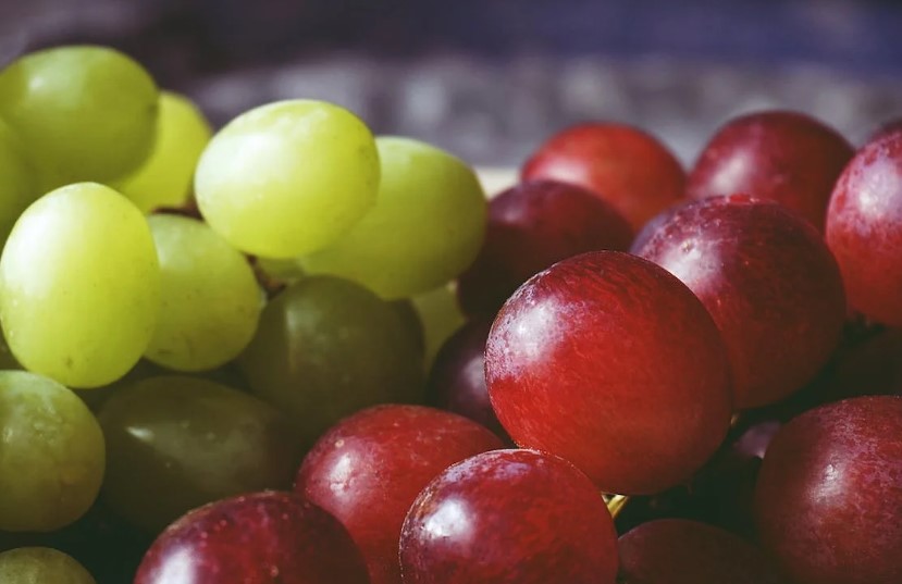 포도 효능 및 부작용