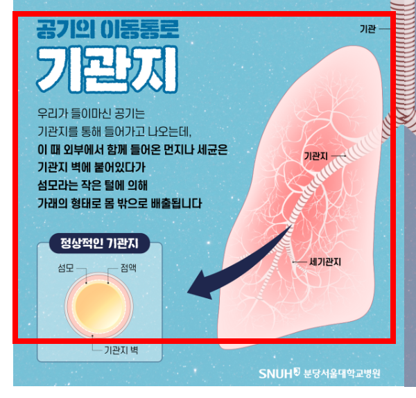 가래가 생기는 원인 알아보기