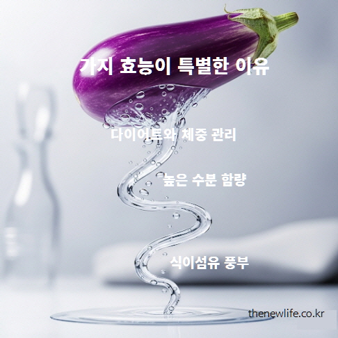 다이어트와 체중 관리에 좋은 가지의 효능을 나타내는 이미지