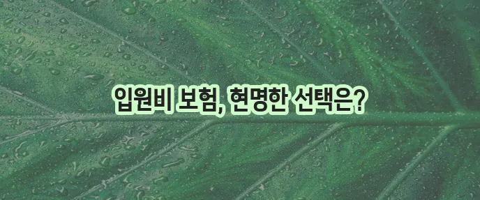 라이나생명 입원비 보험 비교 이제 꼼꼼하게 따져보세요!