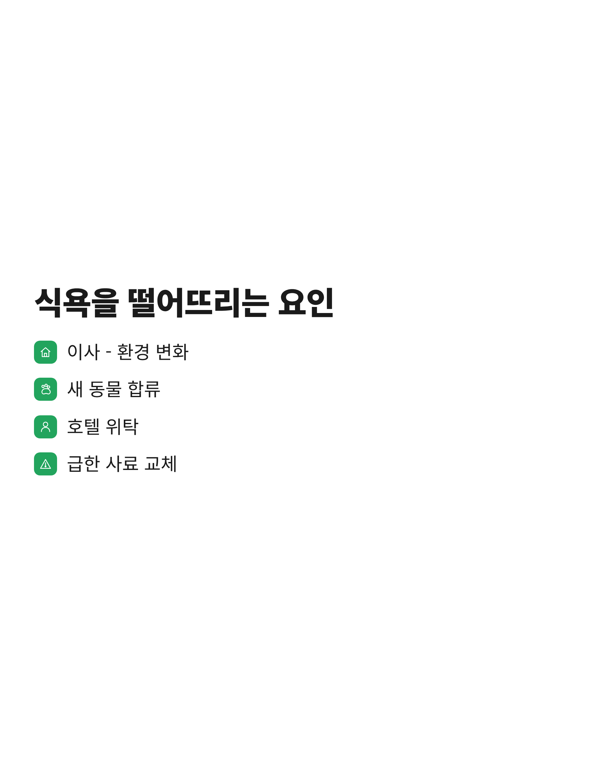 이사&middot;새 동물 합류&middot;위탁&middot;사료 교체처럼 고양이 식욕을 떨어뜨리는 스트레스 요인 네 가지
