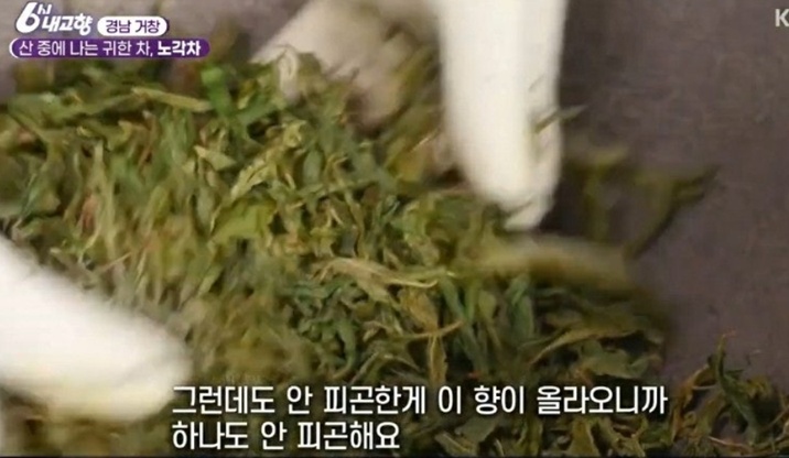 동네한바퀴-거창-모리산-노각차