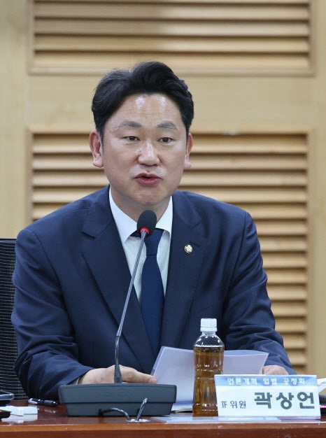 곽상언 의원 정치 경력