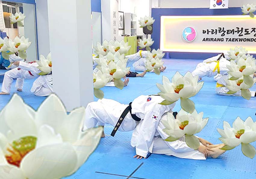 연꽃보다 태권도