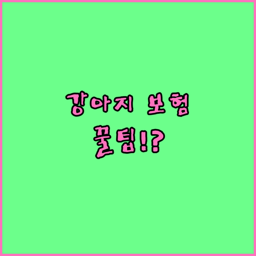 강아지 보험료 아끼는 팁과 주의사항..
