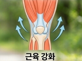 연골주사 맞고 운동해도 될까? 슬로우 조깅 시작 시기 총정리