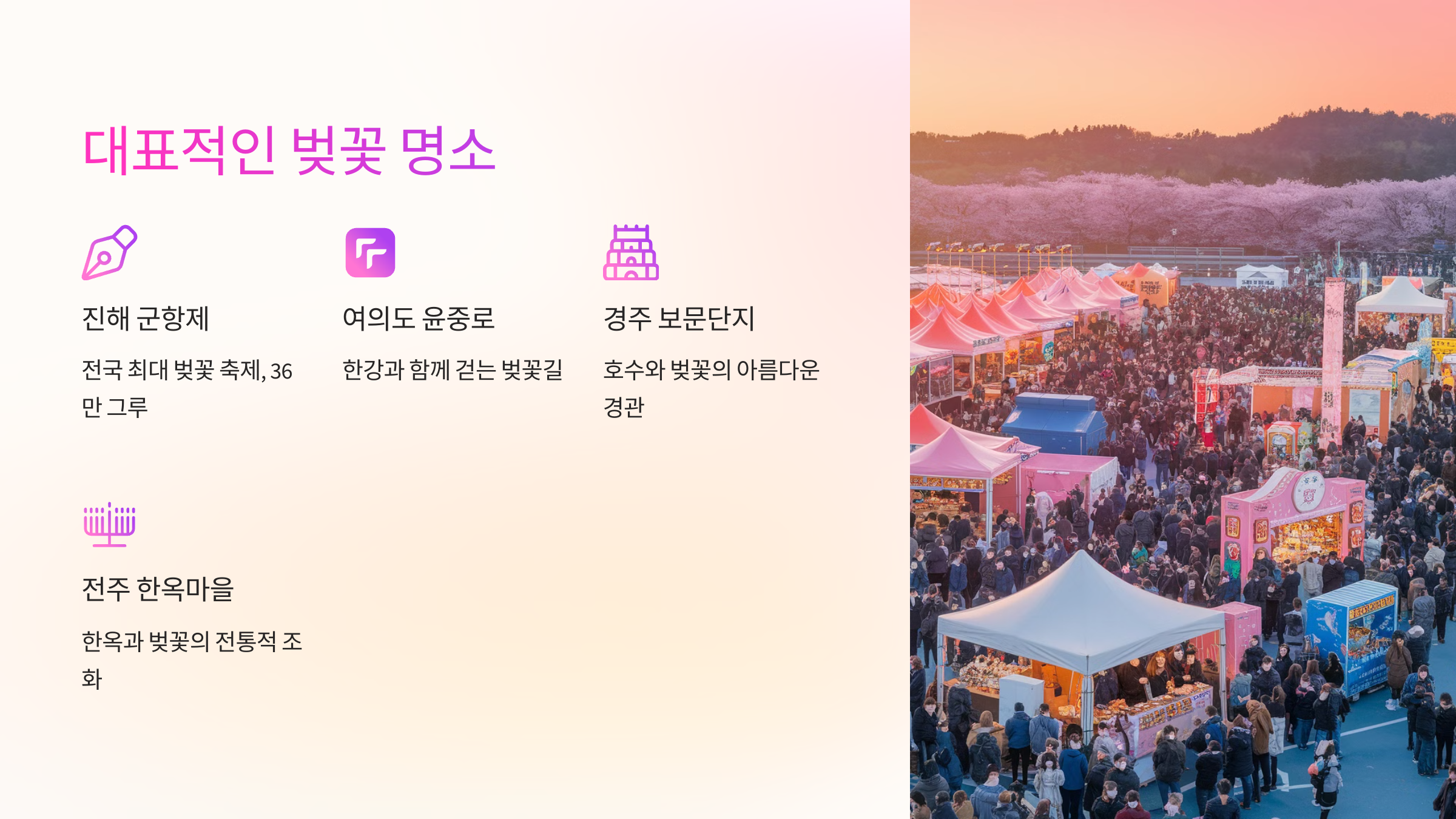 🌸 대표적인 벚꽃 명소