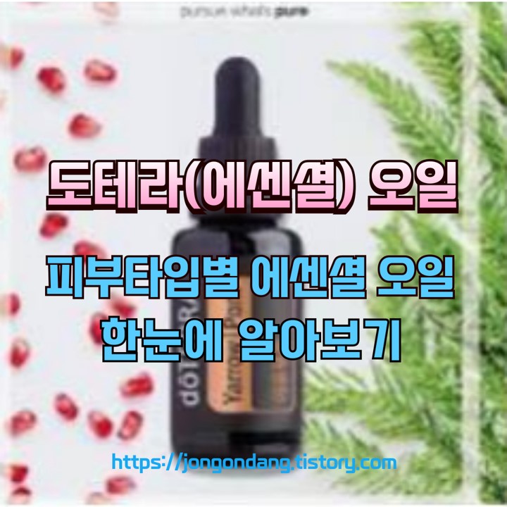 피부 타입에 따른 아로마 에센셜 오일 용도, 한눈에 알아보기 이미지
