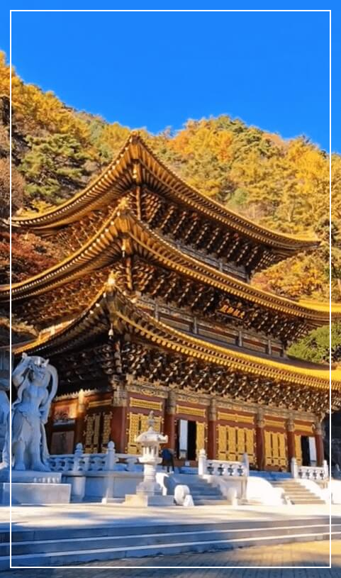 단양 가볼만한곳 베스트10 구인사