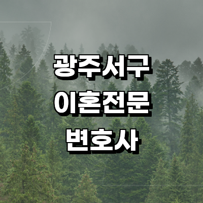 광주 서구 이혼 변호사