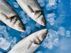 염증에 좋은 음식