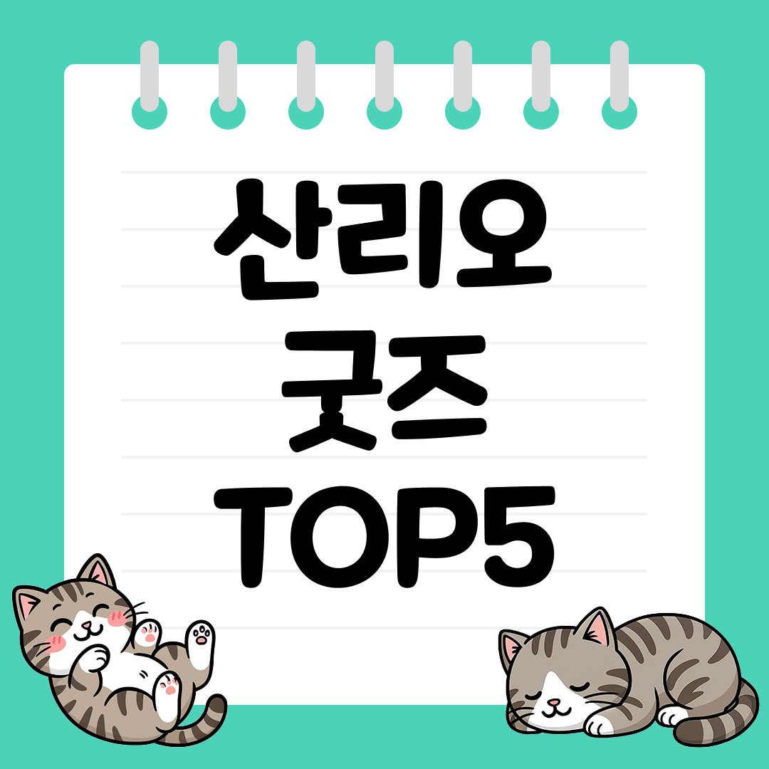 헬로키티부터 시나모롤까지! 사랑스러운 산리오 굿즈 추천 순위 TOP5