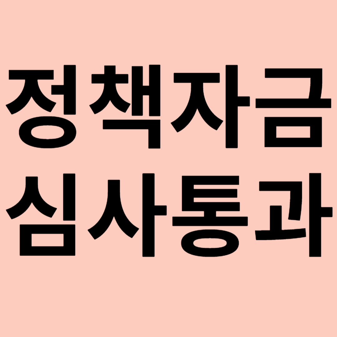 정책자금 심사 통과하는 법 관련 이미지