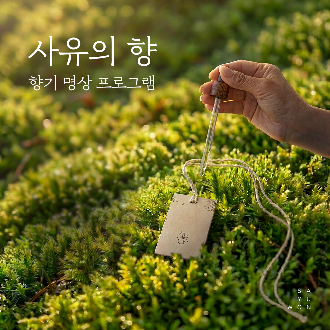 차나무가 있는 패키지 안내문