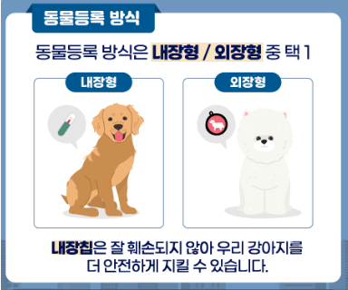 반려동물등록외장형 내장형