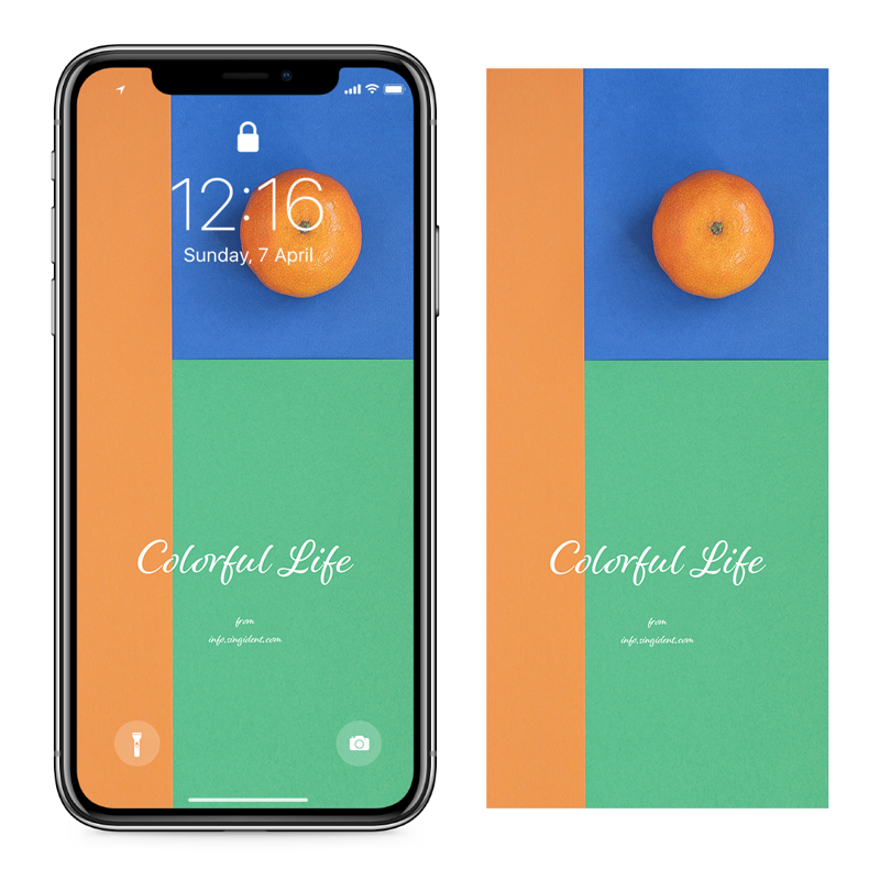 10 감귤 3색 배경 C - Colorful Life 아이폰주황색배경화면