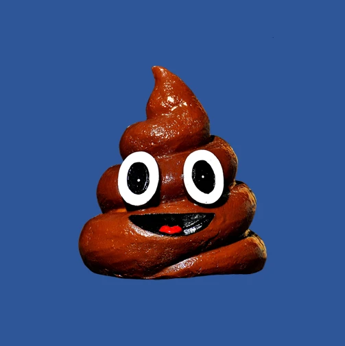 귀여운-얼굴의-똥-인형