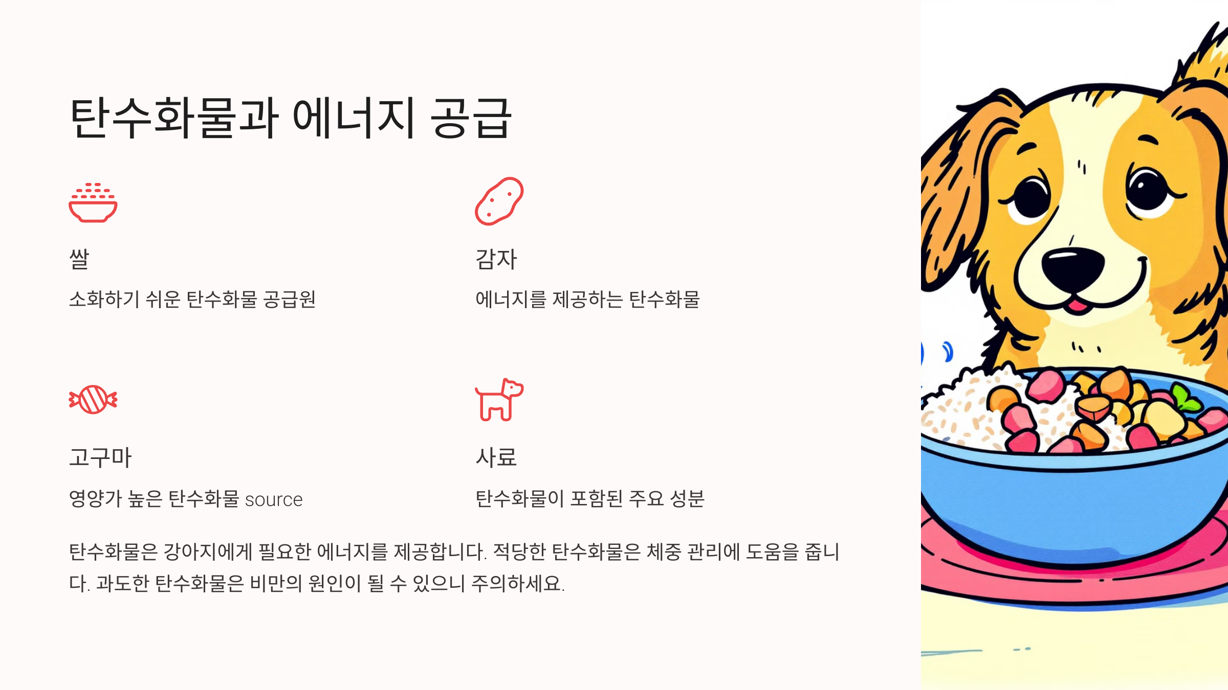 탄수화물과 에너지 공급