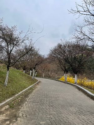 평범한 하루를 좋은 기억으로 바꿔줍니다.