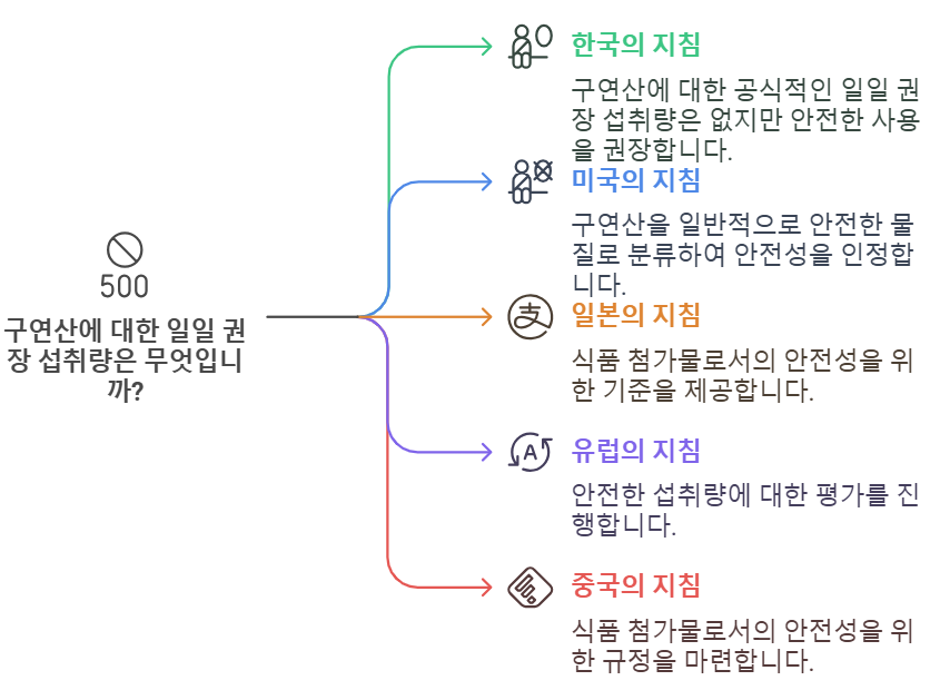 식용 구연산의 일일 권장 섭취량
