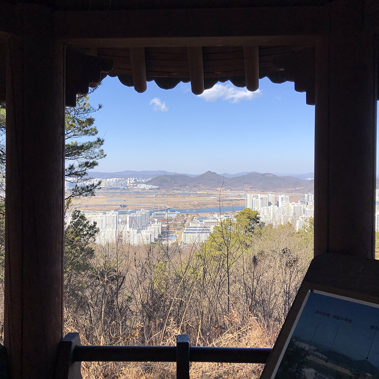 비학정