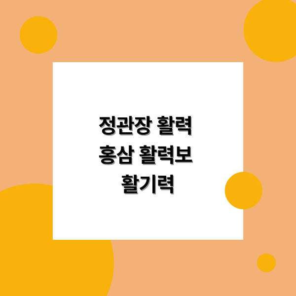 정관장 활력 홍상 활력보 활기력