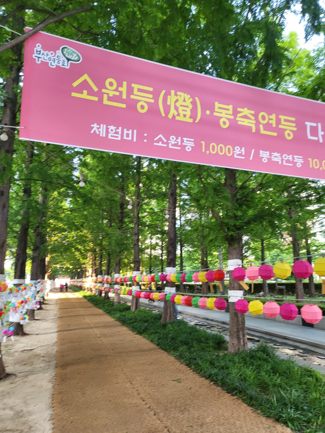 삼광사연등축제