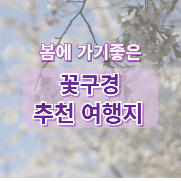 꽃구경 추천여행지 메인화면