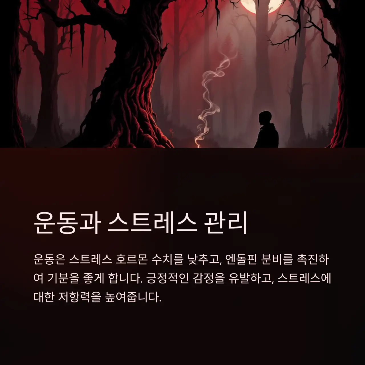 5. 운동과 스트레스 관리