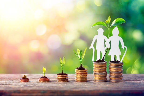 국민연금납부 가입