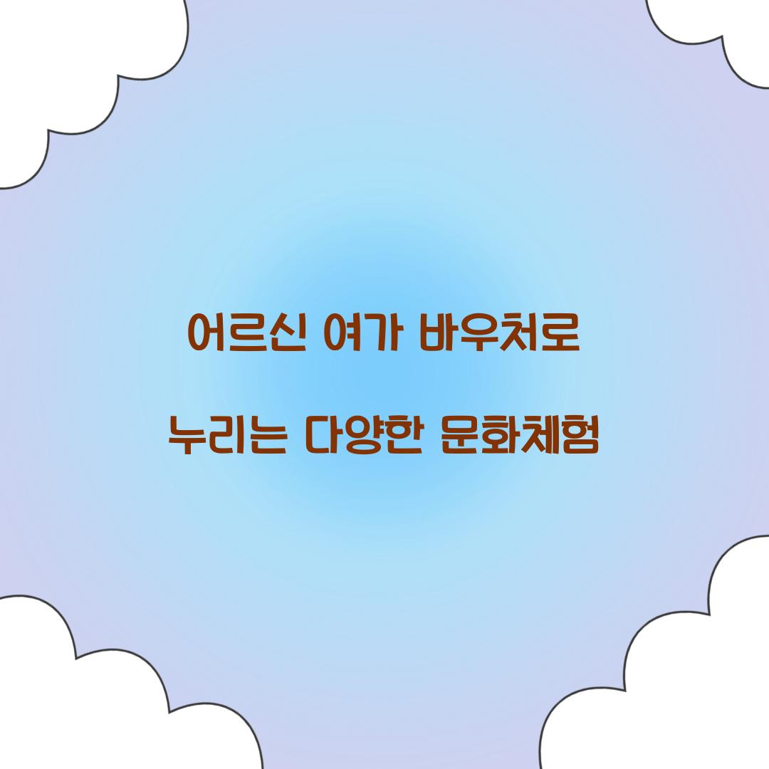 어르신 여가 바우처