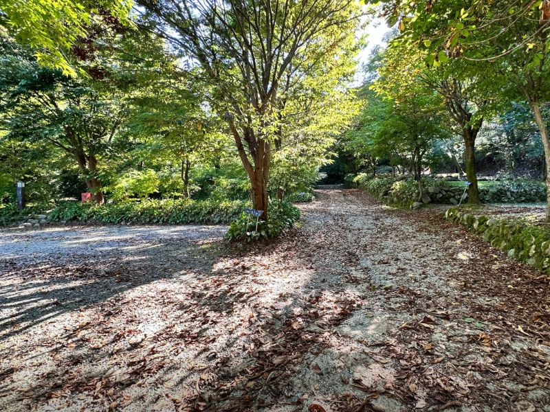 횡성자연휴양림