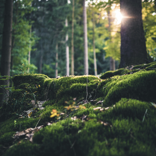 해마다 반복되는 사계절의 원리