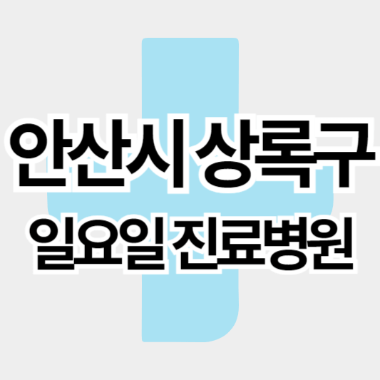 안산시상록구_일요일진료병원_썸네일