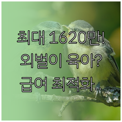 1년 최대 1620만원 육아휴직 급여..