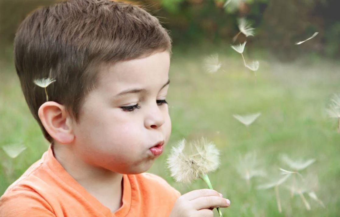 놀고 있는 아이 사진