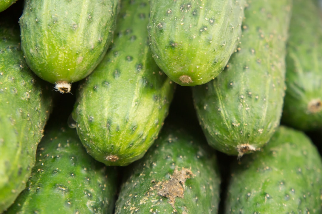 cucumber