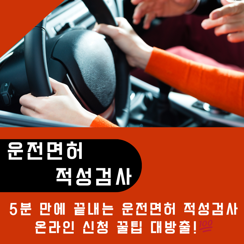 운전면허 적성검사