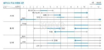 낚시 시즌 추천 겨울 빙어 얼음 구멍 낚시 준비 요령_7