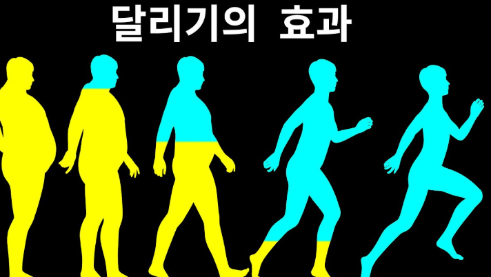 홈트레이닝 추천 루틴 관련 이미지