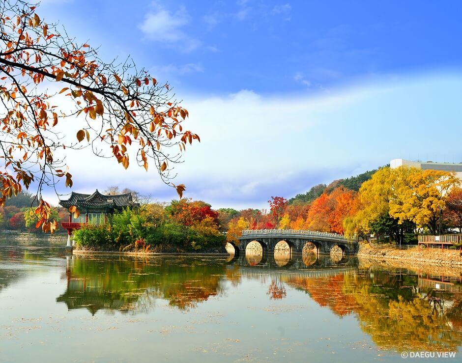 대구 가볼만한 단풍 여행은 어디일까? 대구 단풍 여행 총정리!