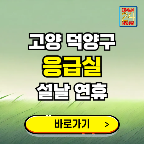 고양시 덕양구 설날 연휴 비상진료 응급실 병원 찾기 ❘ 내근처 24시 야간 심야 휴일 가능한 곳
