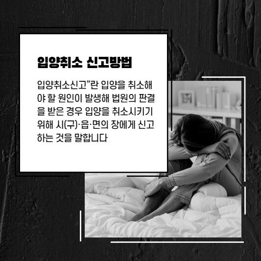입양취소 신고방법