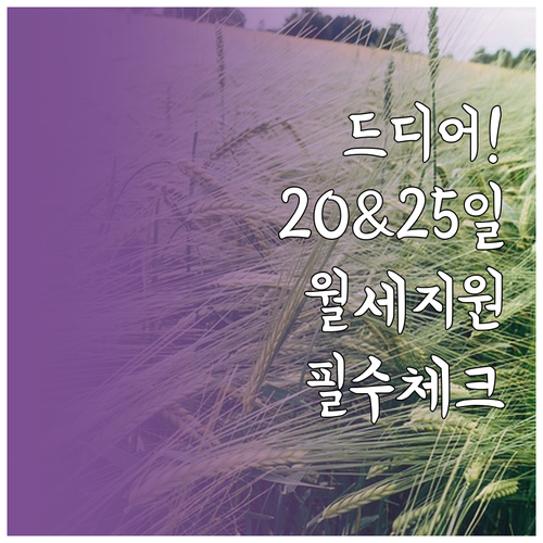 2026 동두천 청년월세 지원금 지급..