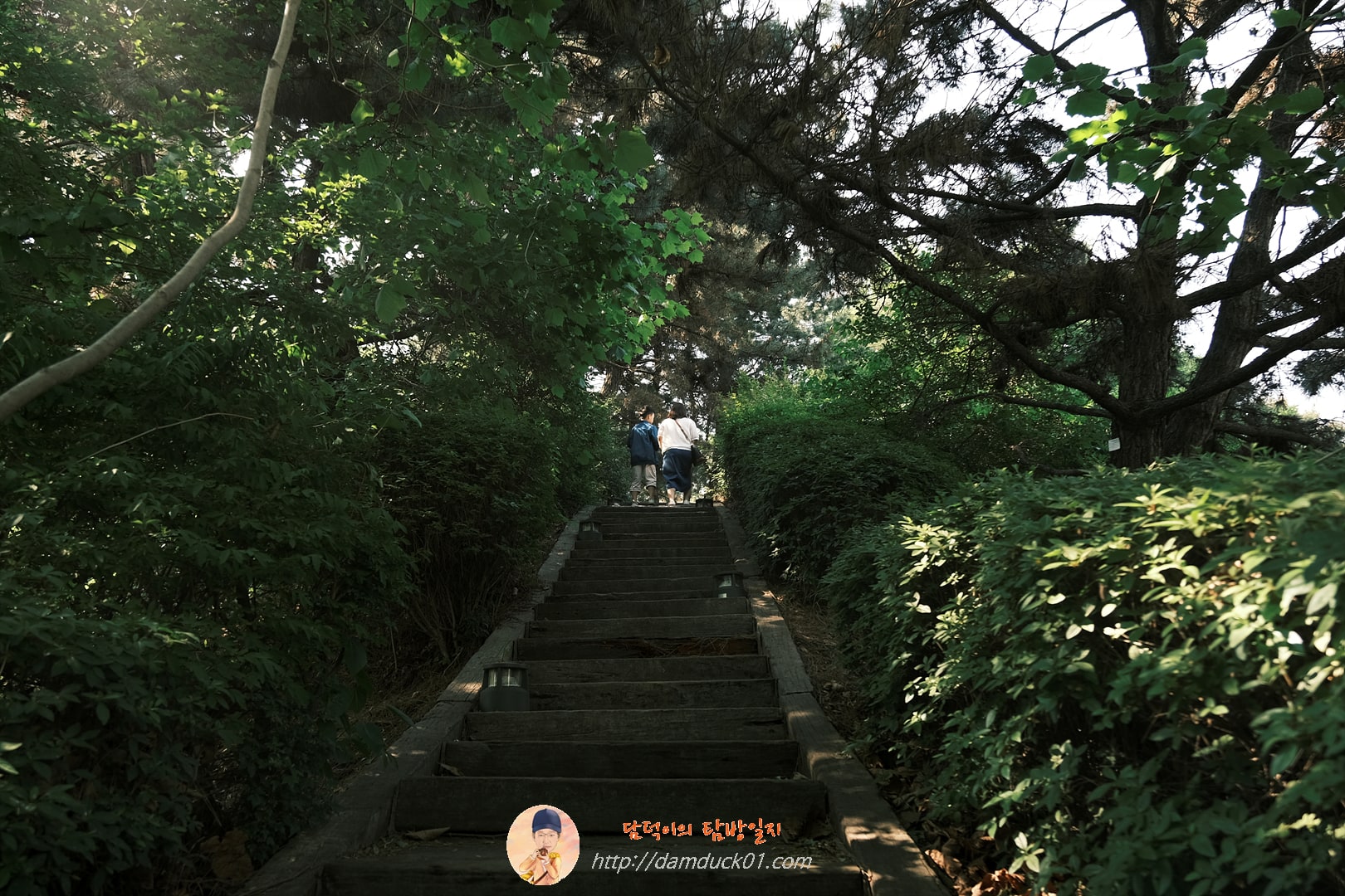 경기아트센터에서 효원공원 가는 길