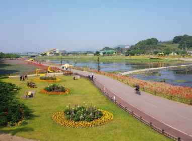 '100억송이' 가을꽃