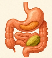 피스타치오의 효능